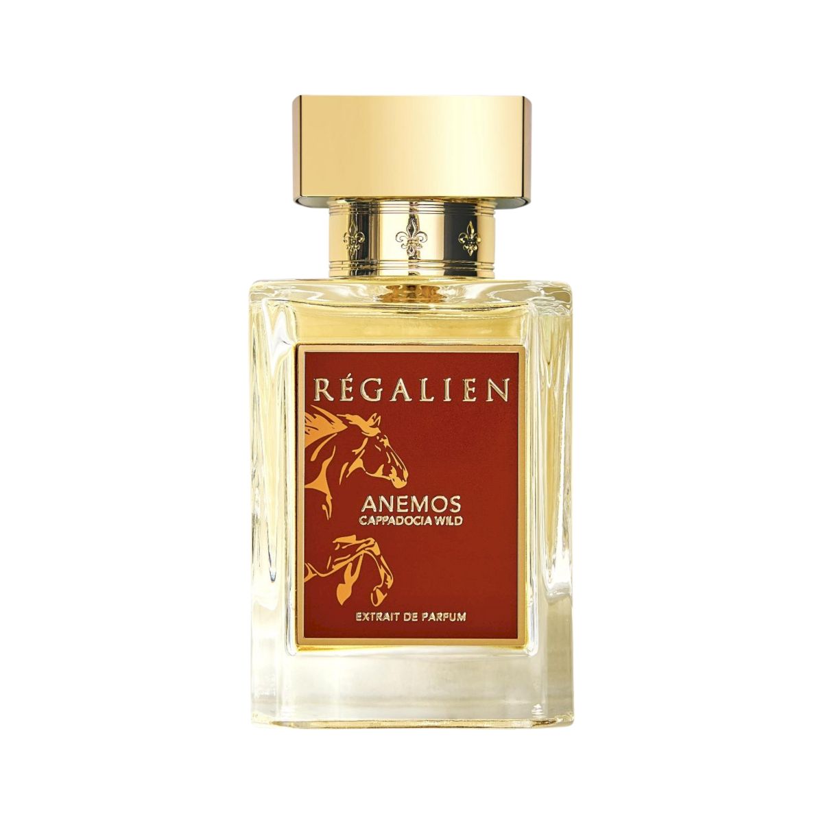 Anemos Extrait de Parfum 80 ml